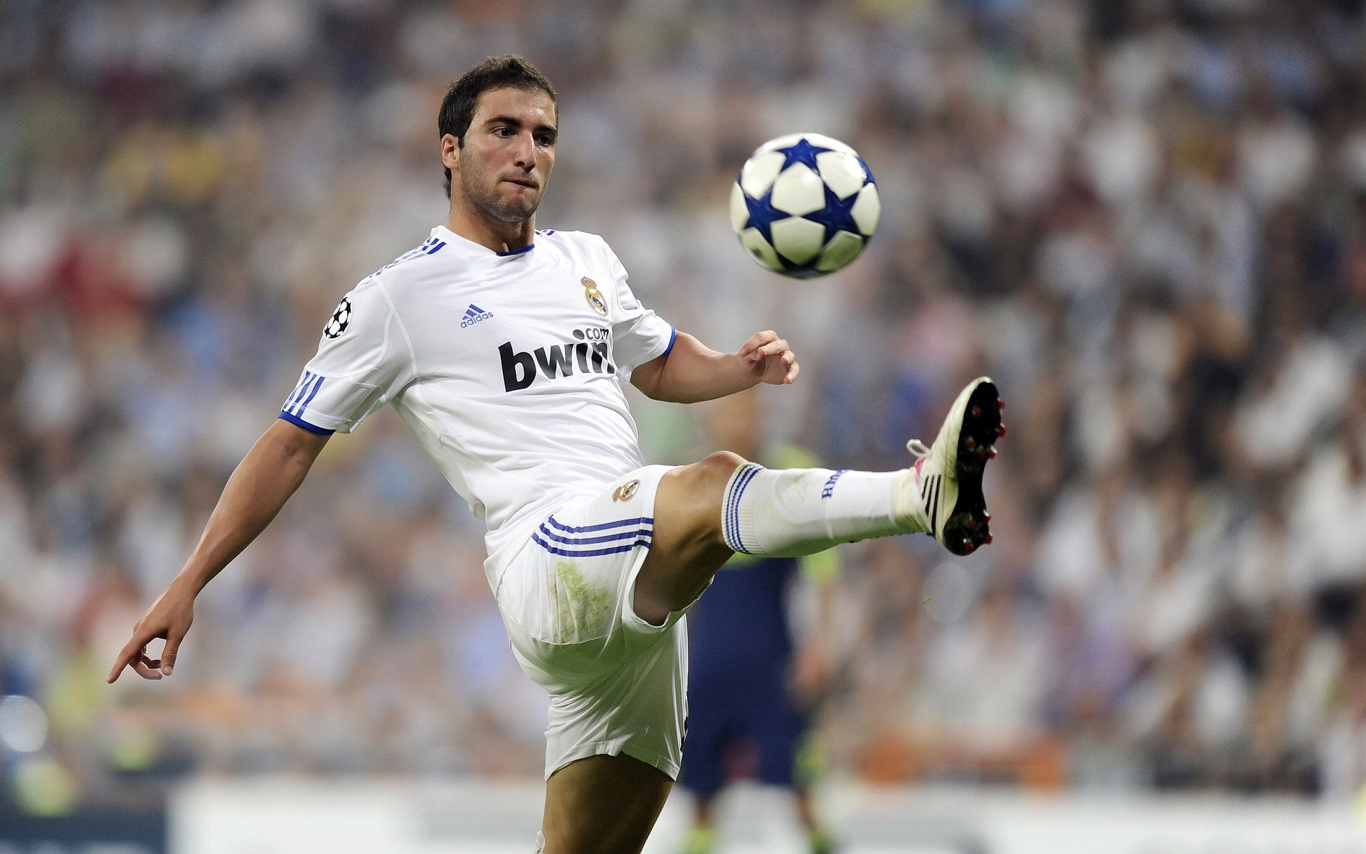 隆多尼亚在最新一场比赛中获得胜利,隆多今天比赛